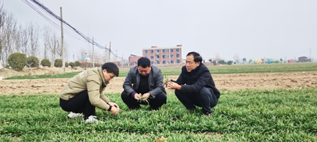 微信图片_20240219162447.png